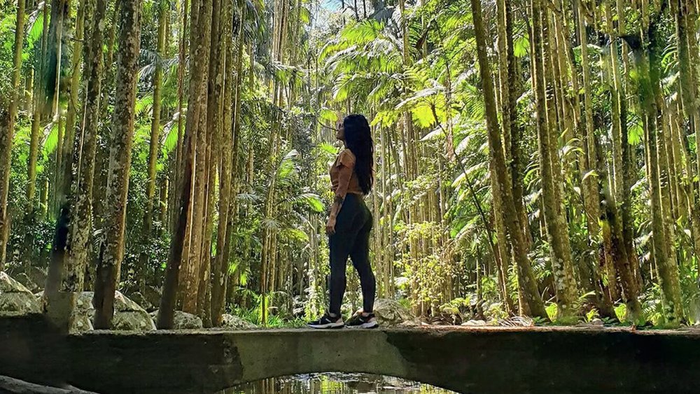 What could be better than the rainforest, the stars, and some worms? "Image credits to @yasminpatriciods on Instagram"