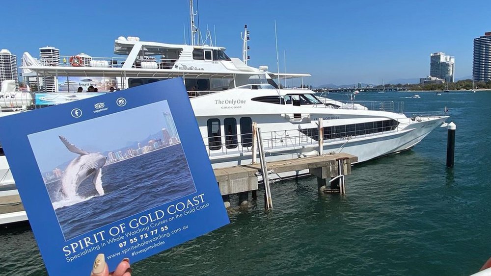 Whale, whale, whale, what do we have here? "Image credits to @yiya___ on Instagram"