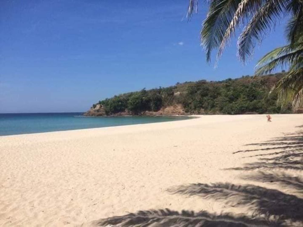 white sand beach with greenery