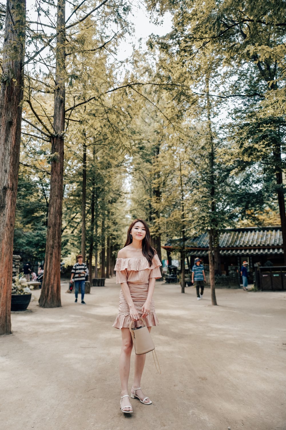 day trip seoul nami island