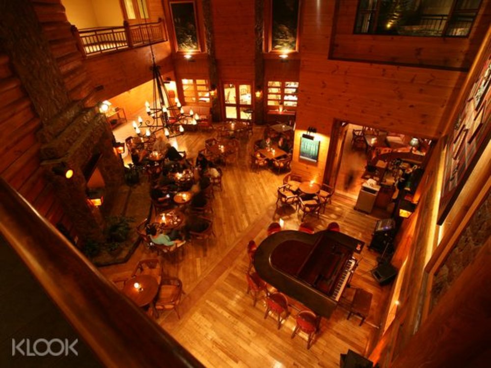 top view shot of wooden lodge