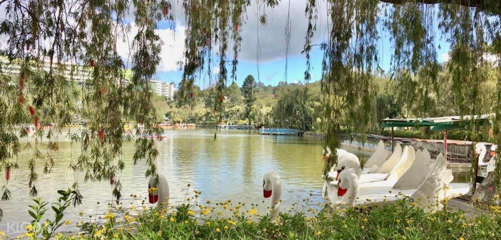 lake with swan boats