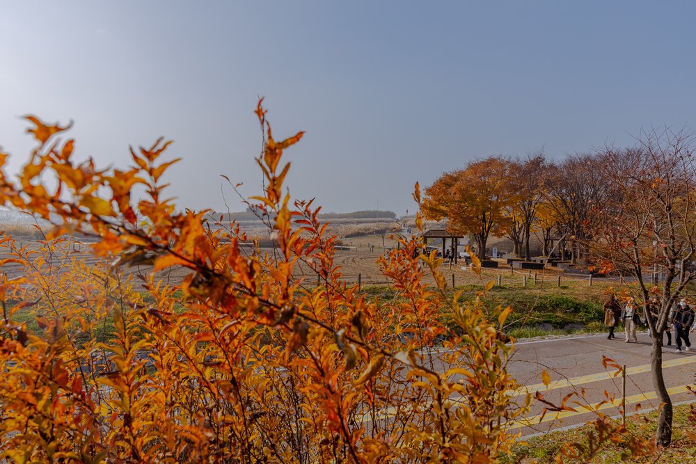 day tour seoul olympic park 2