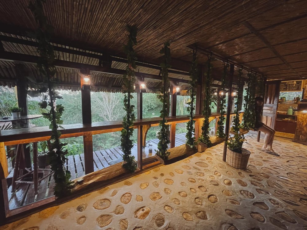 restaurant veranda with plant swings