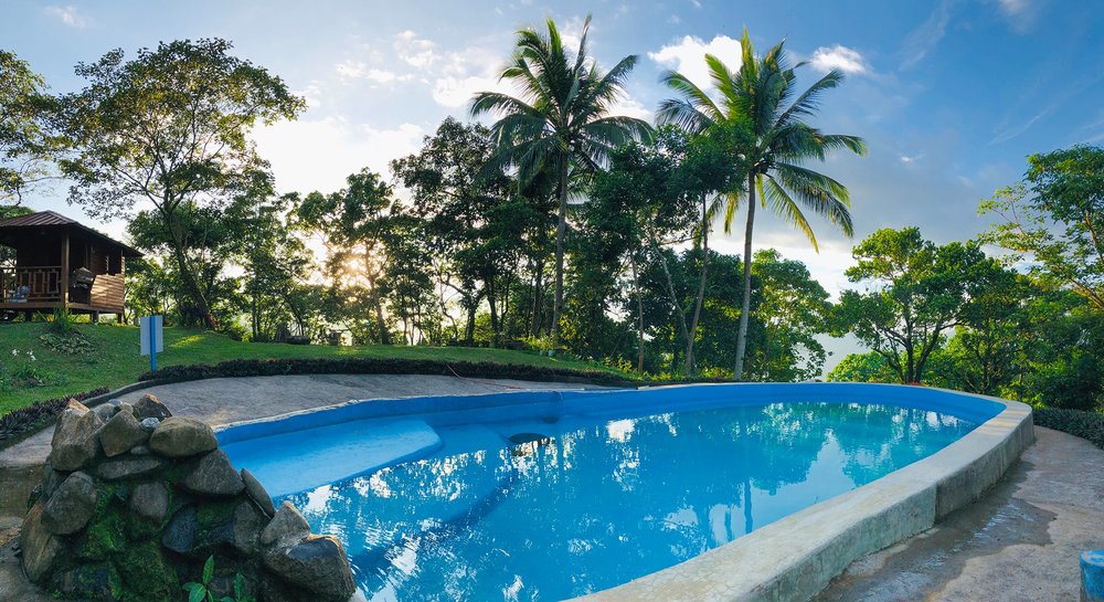 pool with garden area