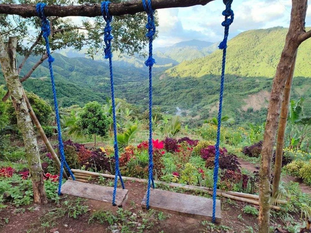 two swing sets overlooking mountain