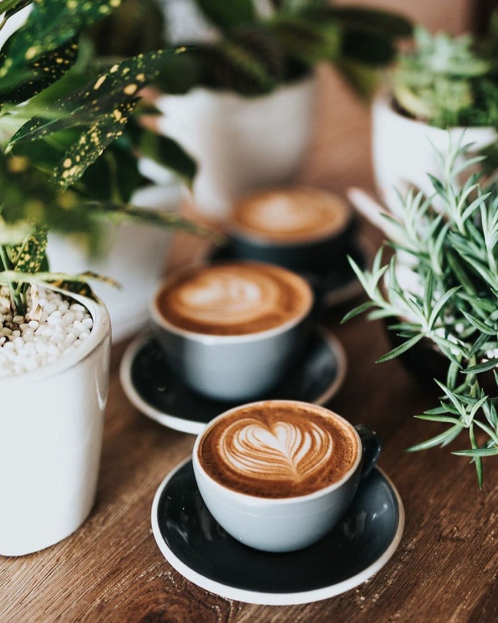 three cups of coffee with latte art