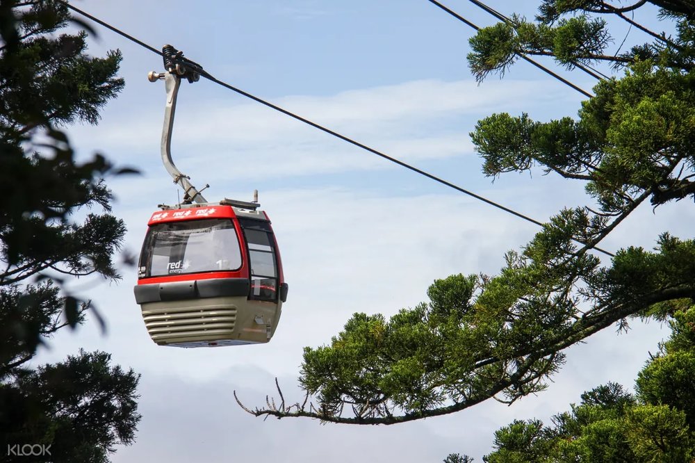 taronga zoo sky safari cable car