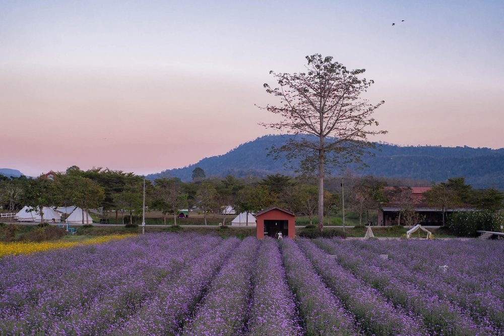 Verona at Tublan (เวโรน่า แอท ทับลาน) 3