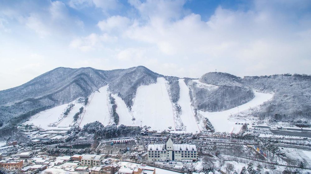 korea winter spots jisan ski resort 1