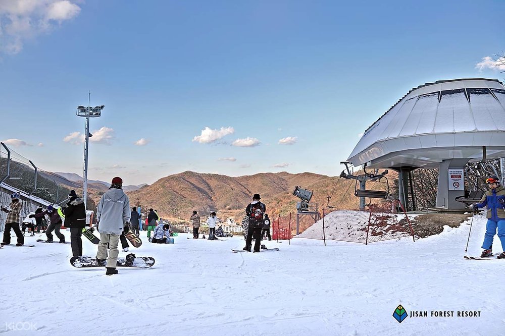 korea winter spots jisan ski resort 3