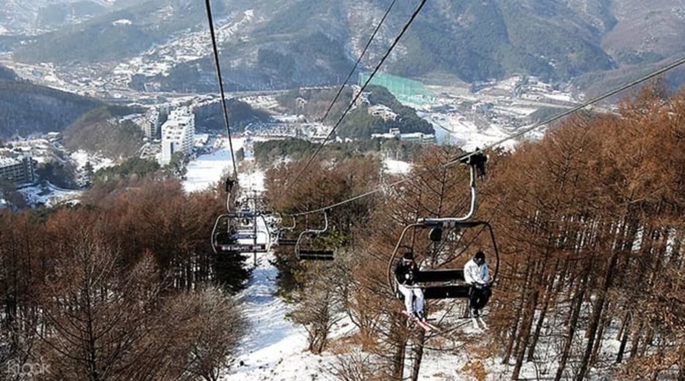 korea winter spots bears town 1