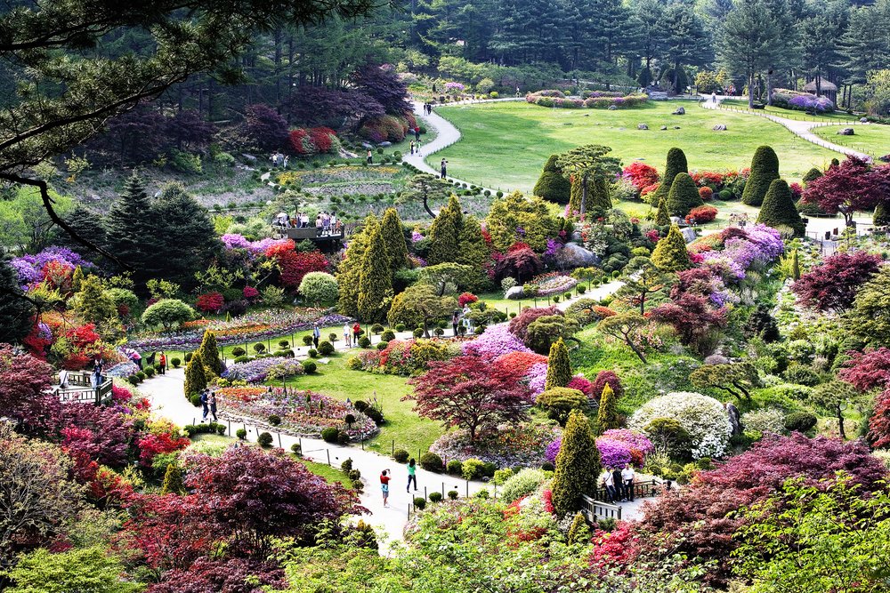 korea winter spots garden of morning calm 1