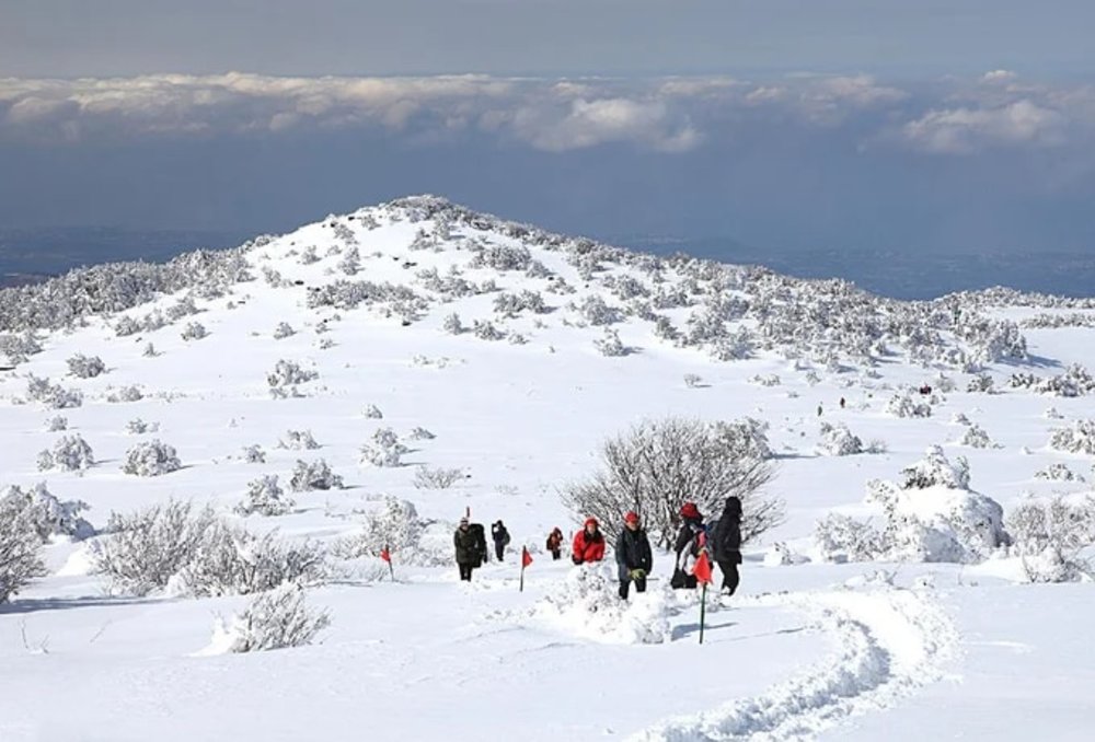 korea winter spots hallasan mountain 2