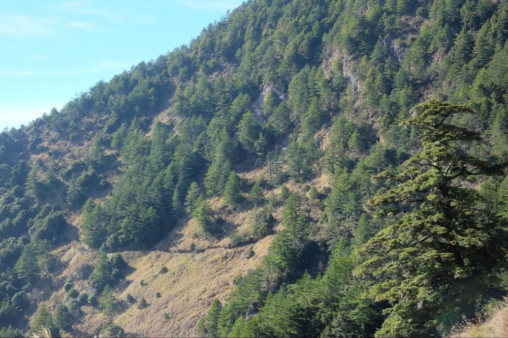 奇萊南華能高越嶺道