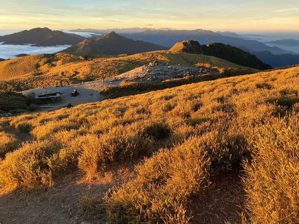 奇萊南峰黃金草原