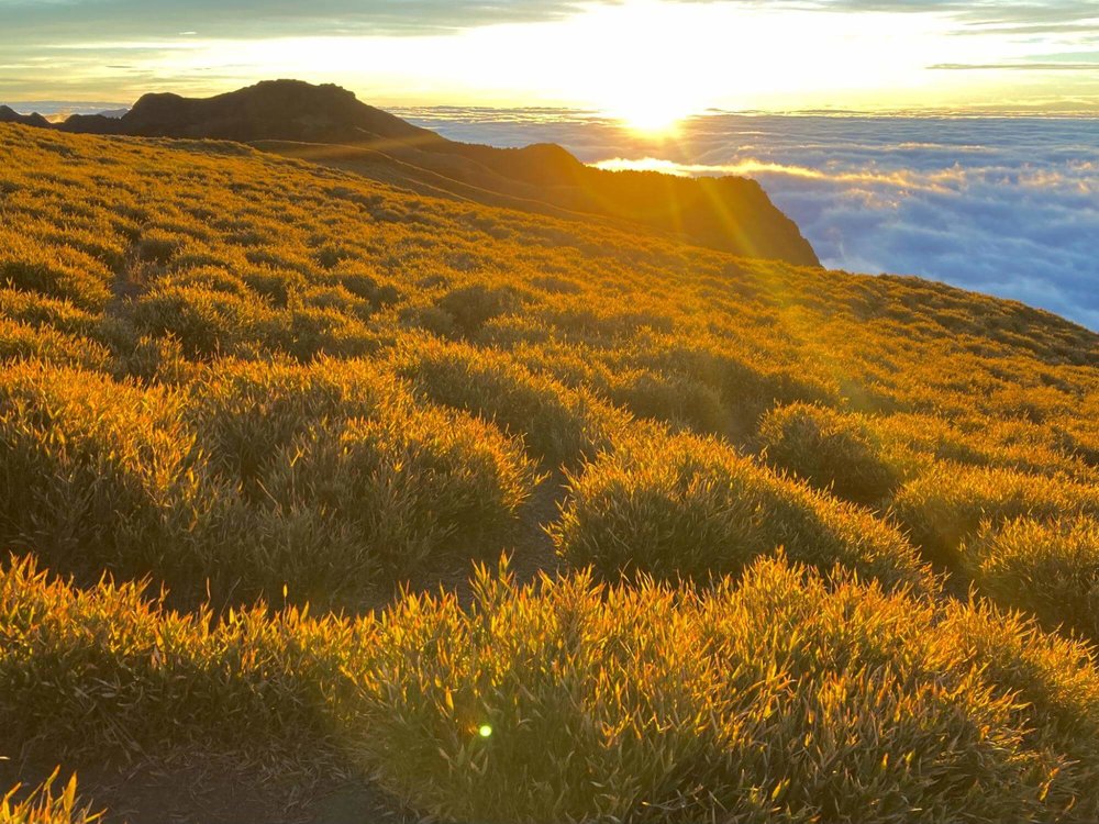 奇萊南華草原與雲海