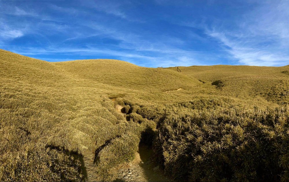 奇萊南華往天池路上