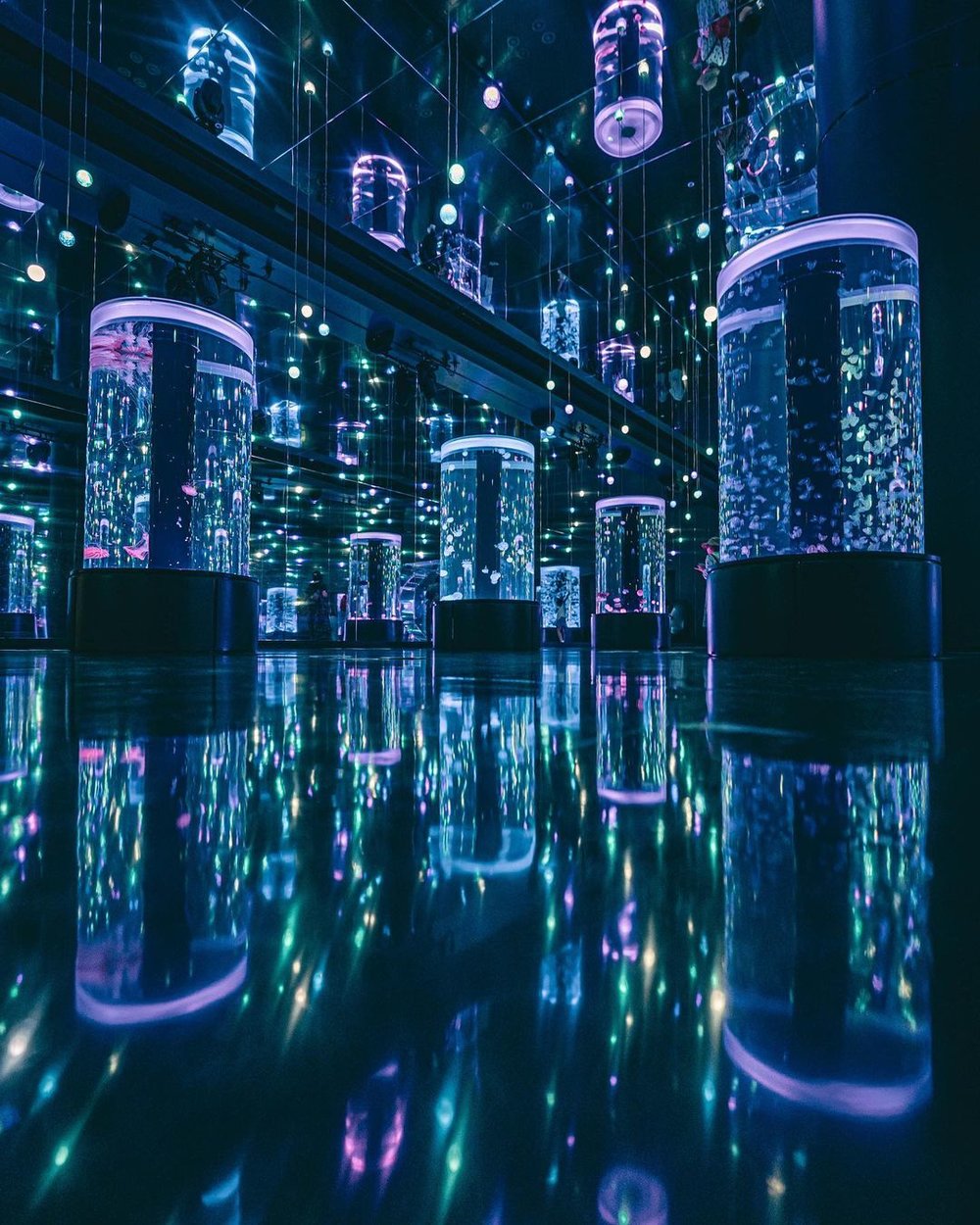 円柱型の水槽に浮いているクラゲ