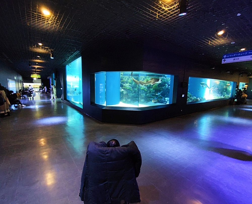 マクセルアクアパーク品川の通路にベビーカーがある