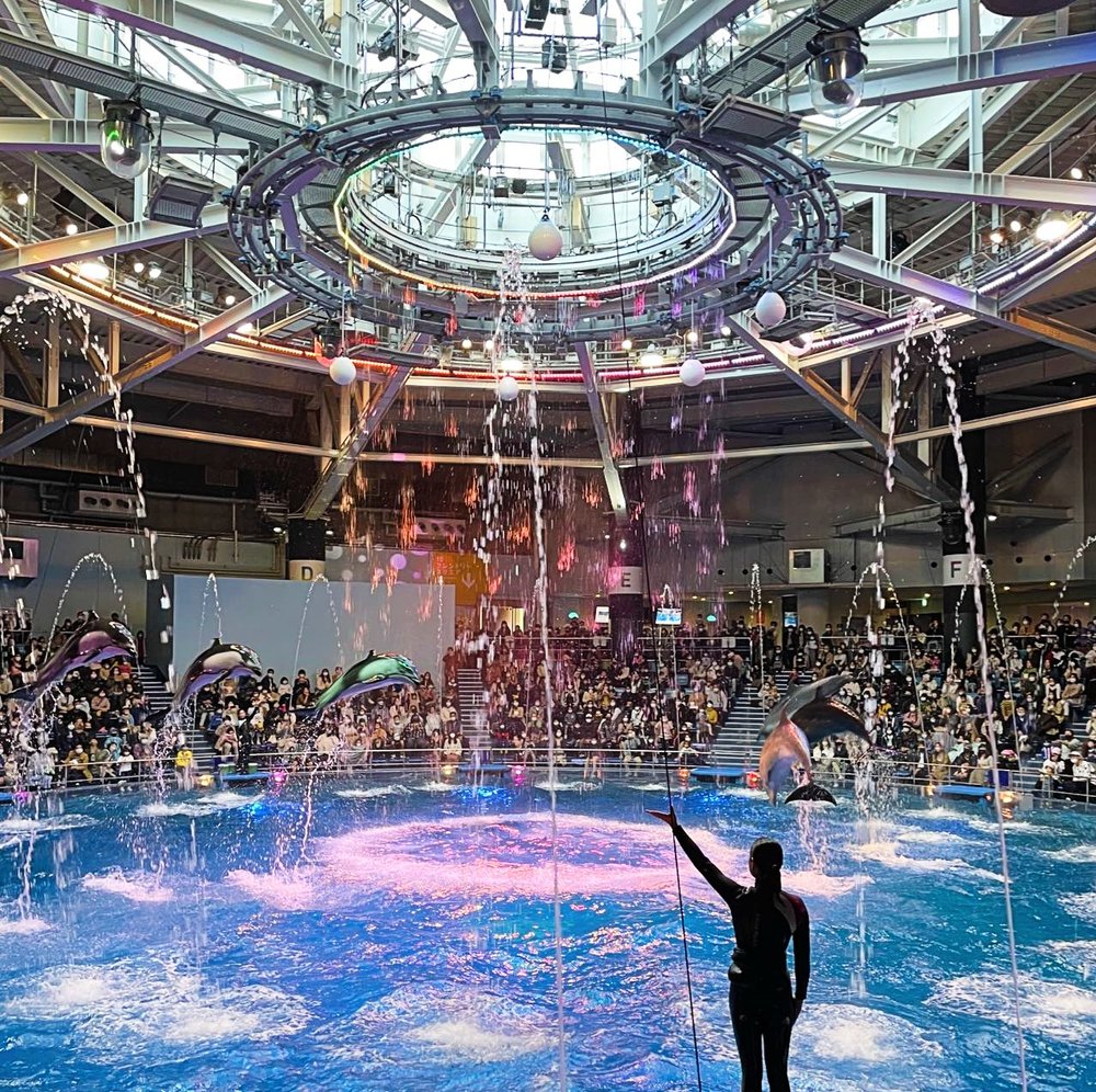 マクセルアクアパーク品川のイルカショー