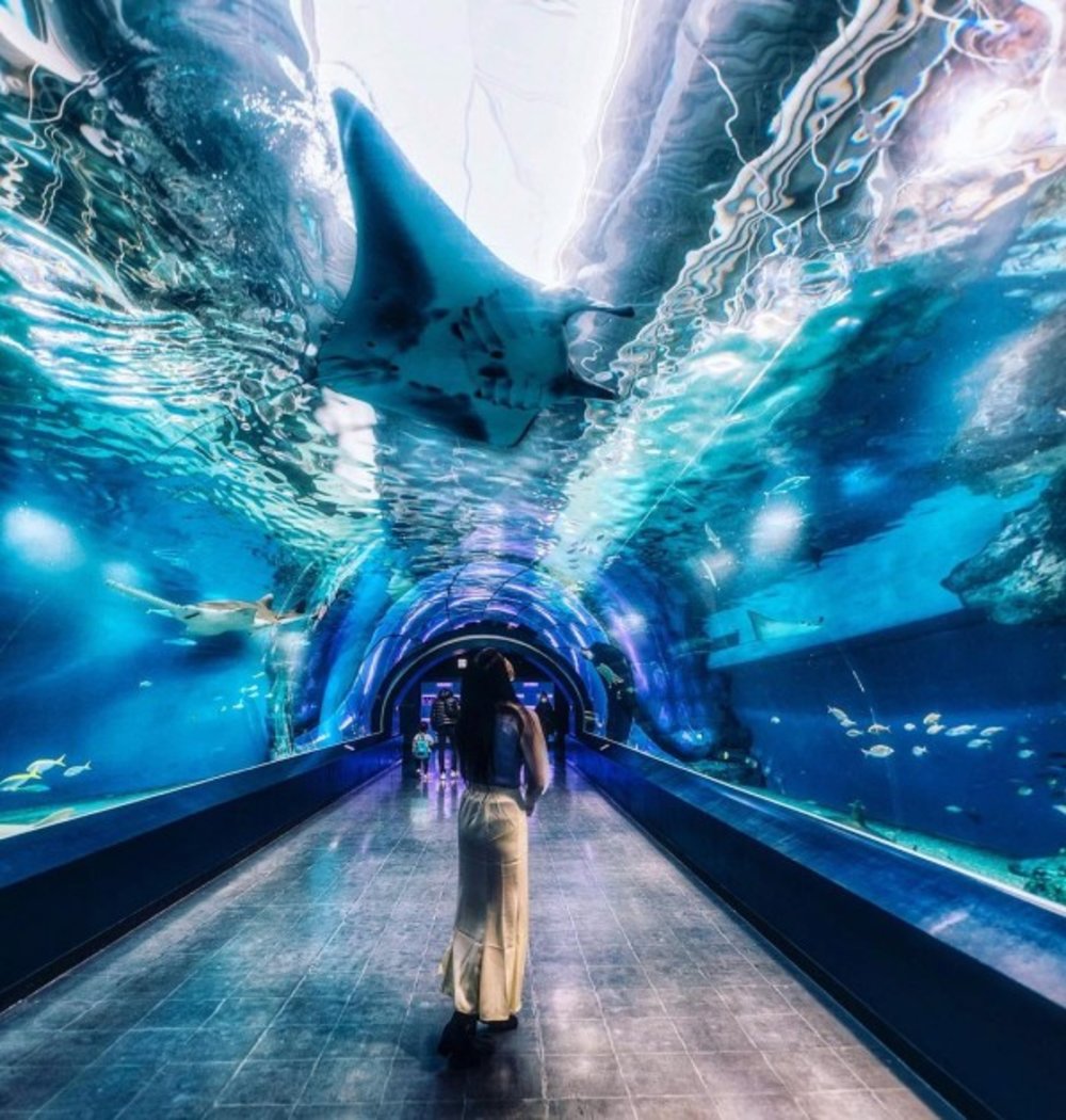 トンネル型の水槽の通路に立つ女性