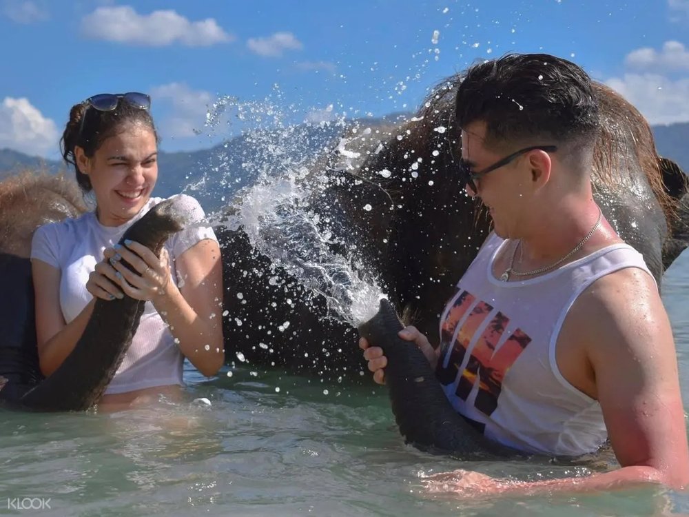 khu-bao-ton-voi-rung-phuket