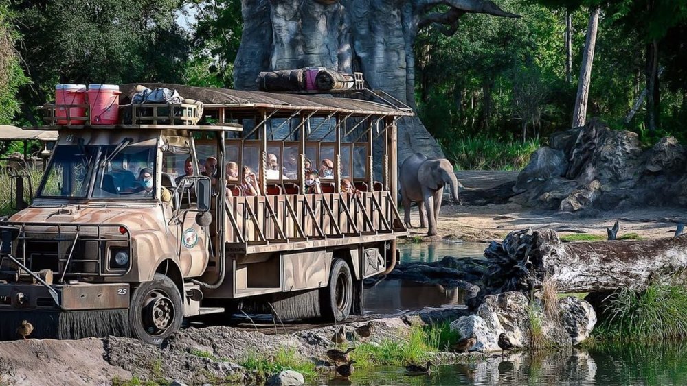 This safari experience in Animal Kingdom lets you get up close to the wildlife. Image credits @thedakguy on Instagram