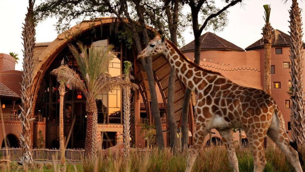 The lodge is also home to a 74-acre animal reserve! Image credits @bencaseysgreatescapes on Instagram