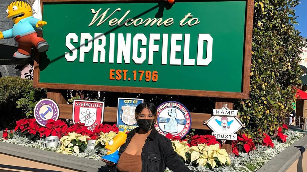 See the flowers in full bloom at Springfield, home of the Simpsons. Credit:mvee.e 