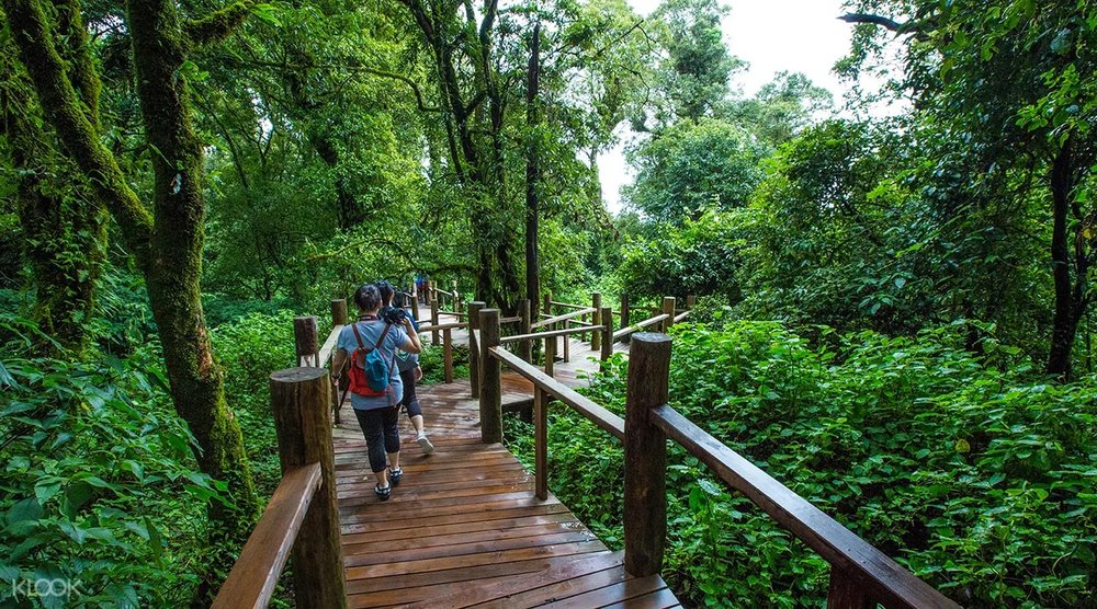 Khám Phá Công Viên Quốc Gia Doi Inthanon