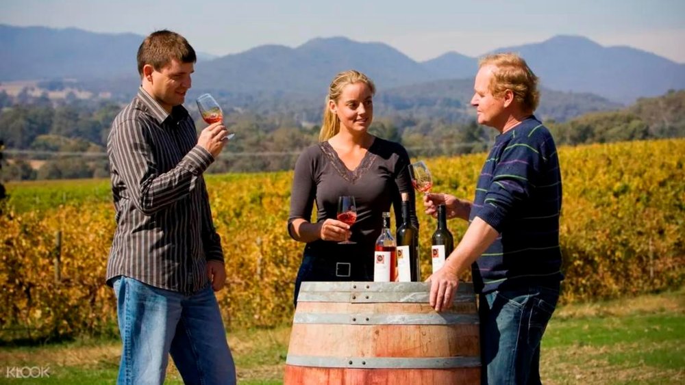 Make the most out of your tasting session at Pizzini Wines.