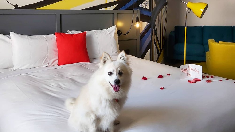 Make sure no one feels left out of the fun! Image credits to @spaghettijaffles on Instagram