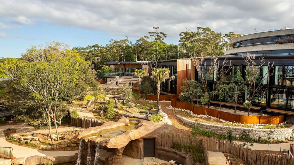 Wake up right in the jungle. Image credits to Klook