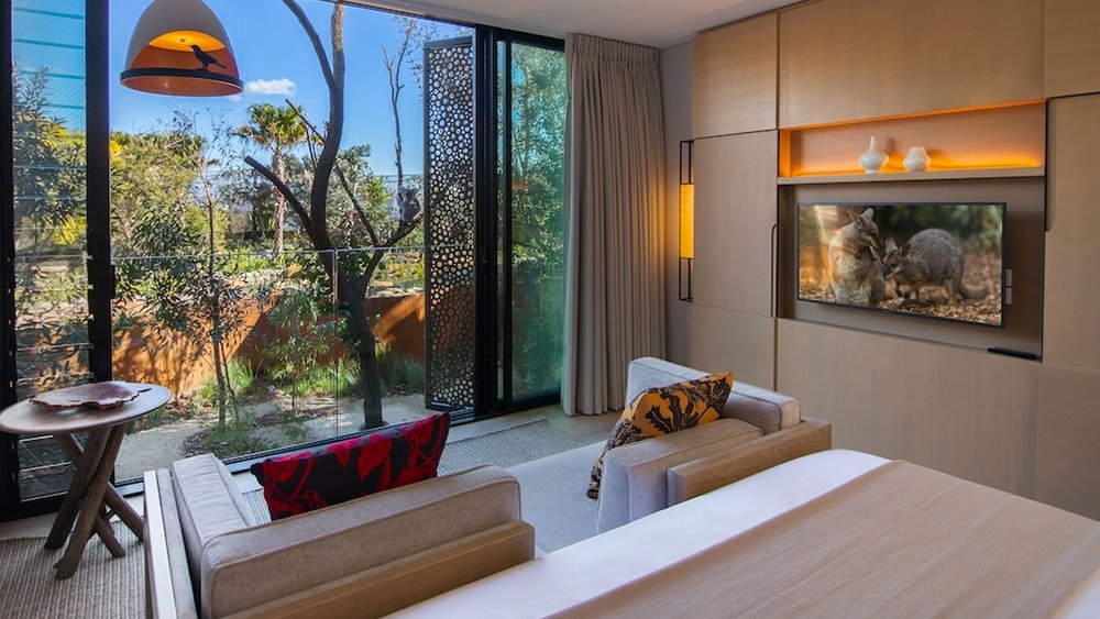 Don’t forget to say good morning to the koalas! Image credits to Klook