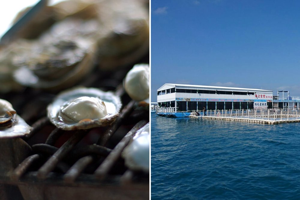 澎湖行程：海洋牧場