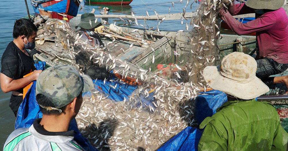 Hồ Cốc Có Gì Ăn?