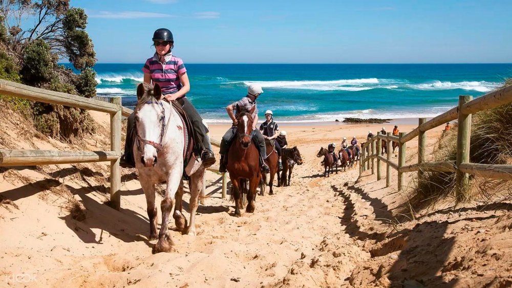 Ride along the beach aboard a gentle horse.