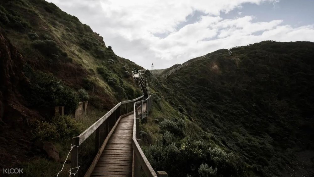 Trail along Bushrangers Bay on this tour.