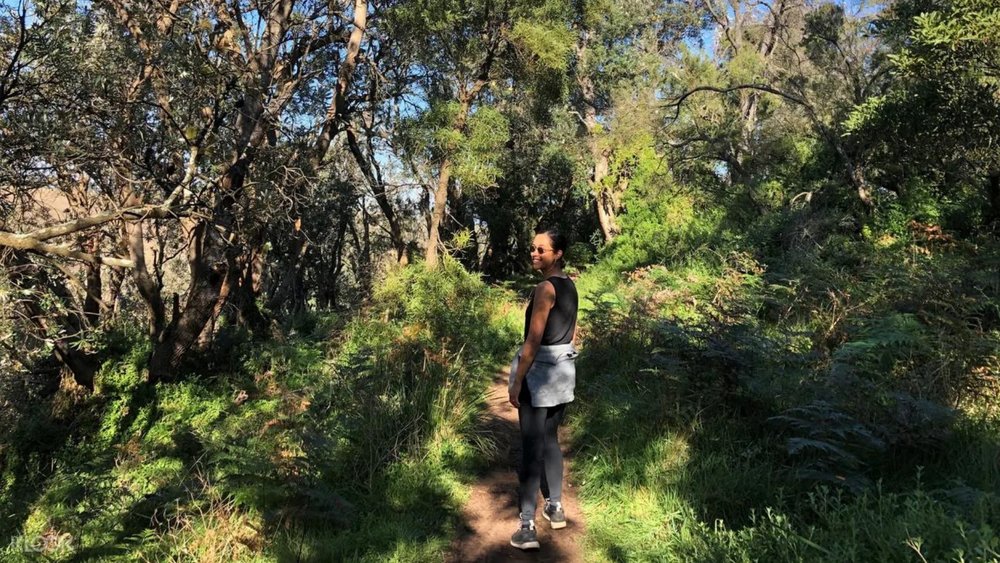 Embark on a peaceful bushwalking trek in the Ninch.