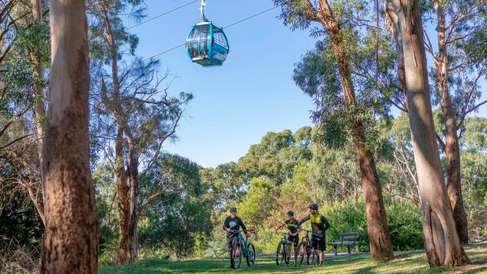 Get lost in the wilderness at Arthurs Seat State Park.