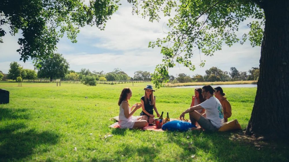 Savour your picnic on a scenic location in Mornington Peninsula.