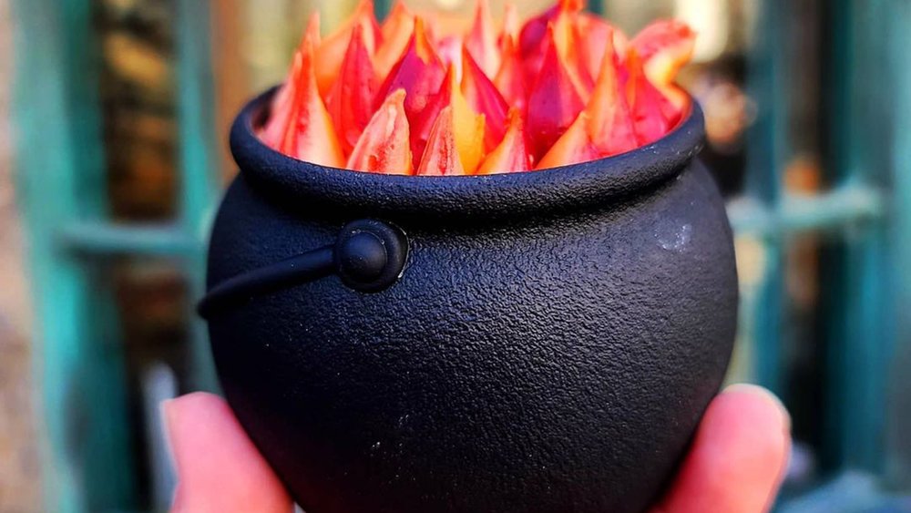 Hogsmeade is full of delicious and magical treats like the Cauldron Cake. Credit: queenndanorth