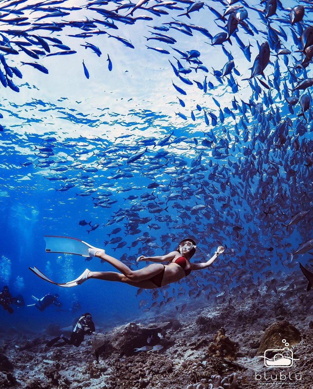 Pulau Sipadan best dive spot in Malaysia