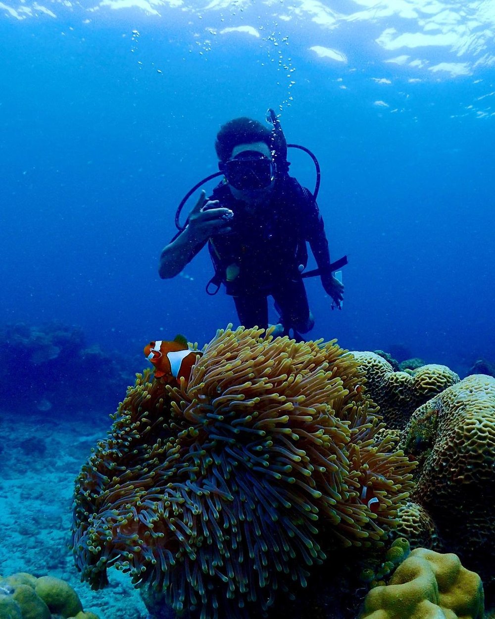 The Top 12 Diving Spots In Malaysia For The Best Dive Experience ...