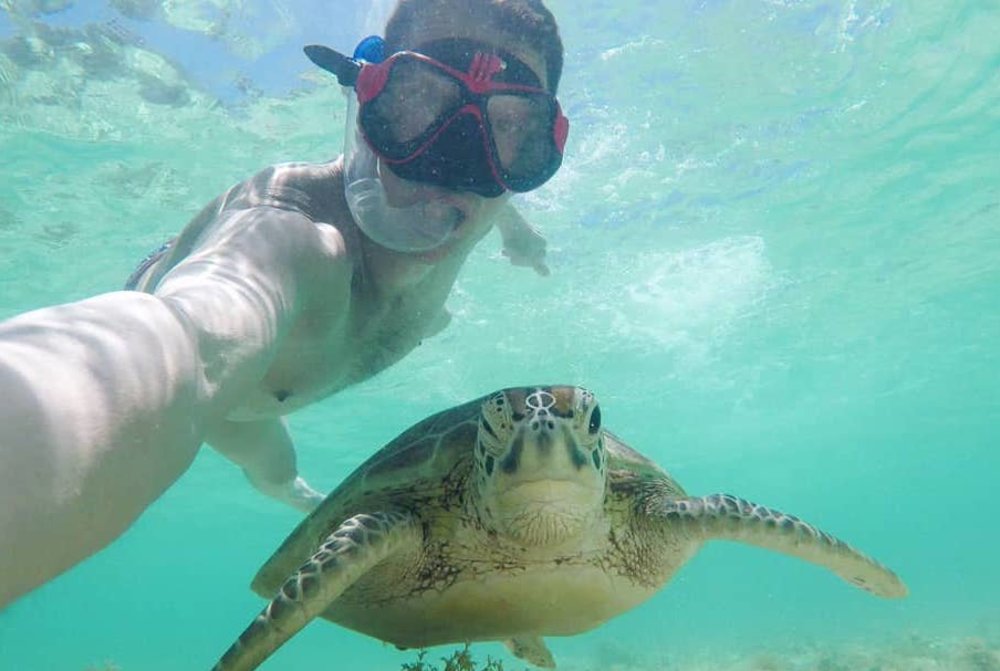 Pulau Lankayan best diving location in Malaysia