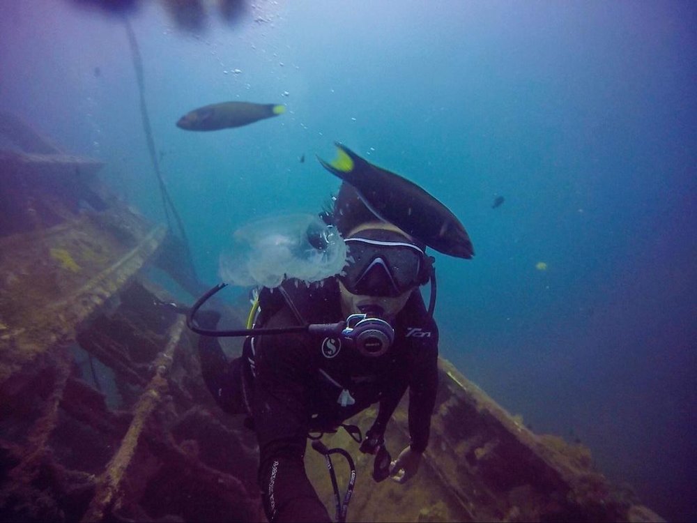Pulau Tenggol best dive spot in Malaysia