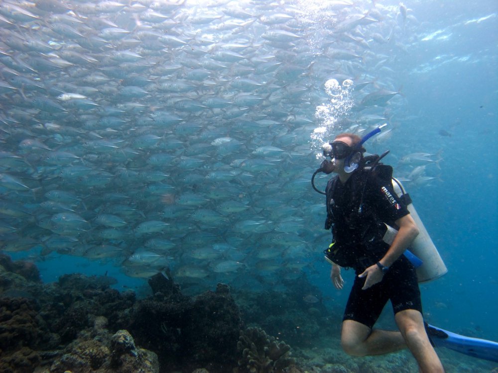 Tunku Abdul Rahman Marine Park best dive spot in Malaysia