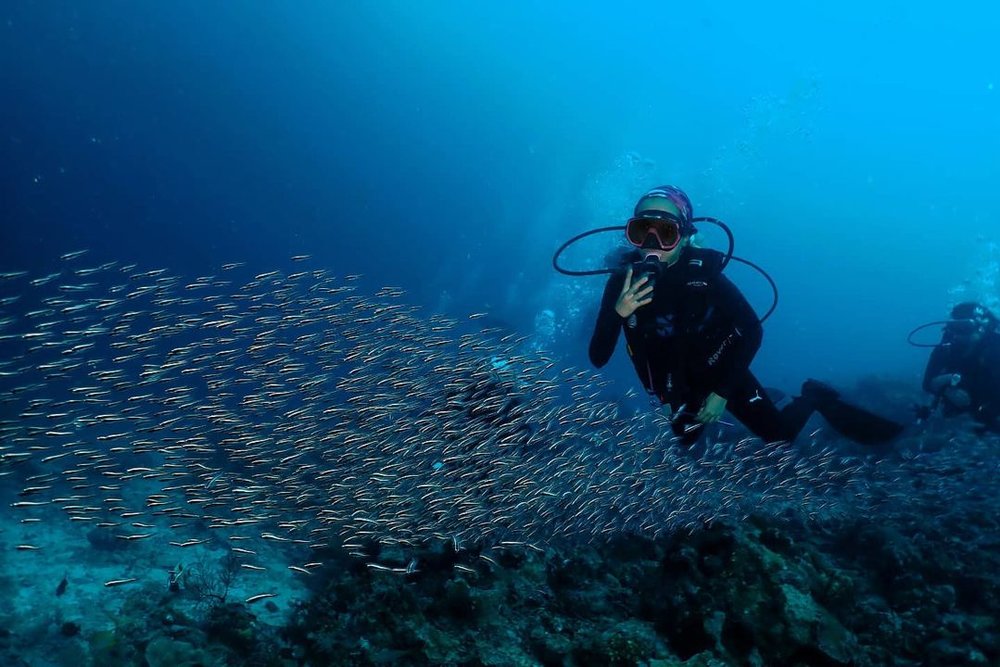 The Top 12 Diving Spots In Malaysia For The Best Dive Experience