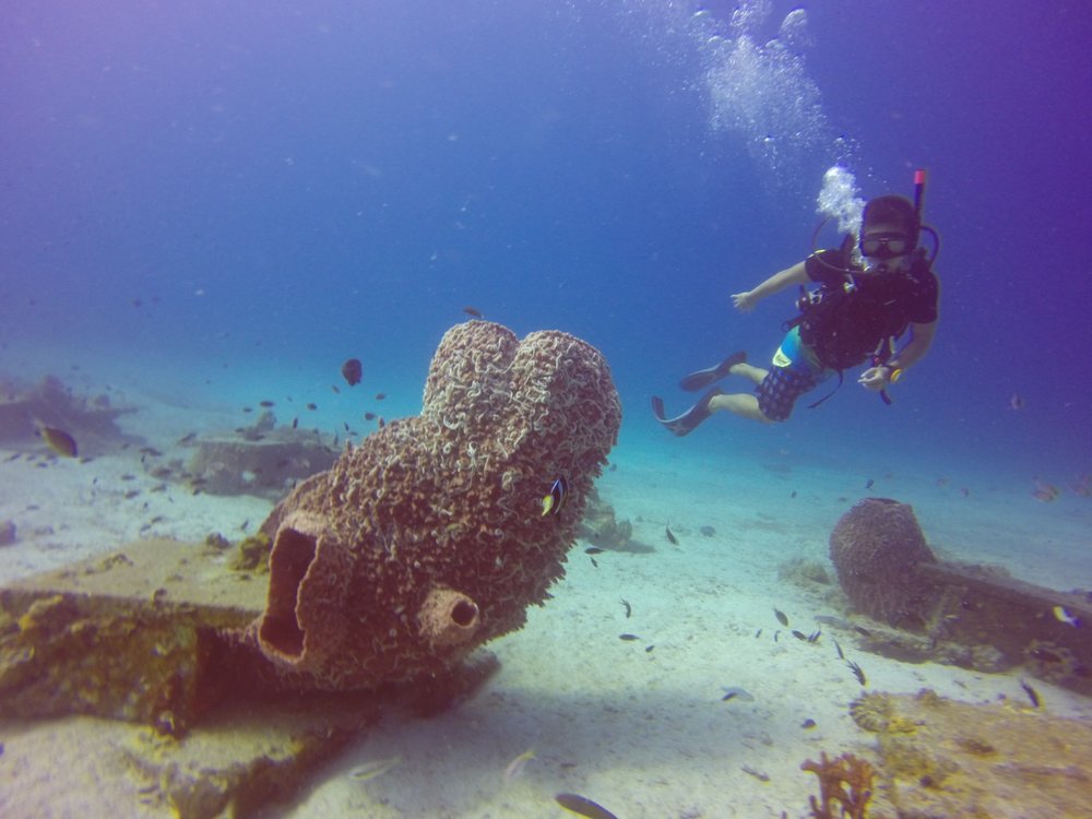 The Top 12 Diving Spots In Malaysia For The Best Dive Experience ...